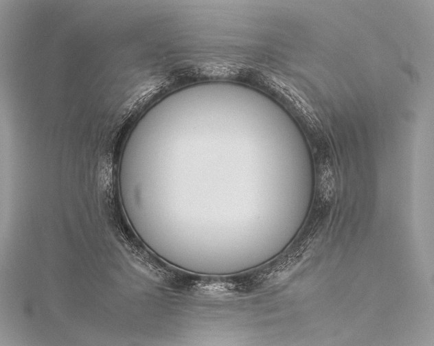 X0000115540407200911201744