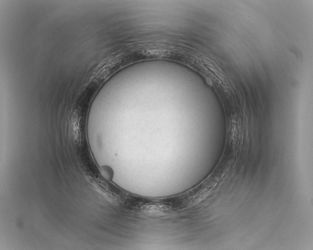 X0000115540408200911201744