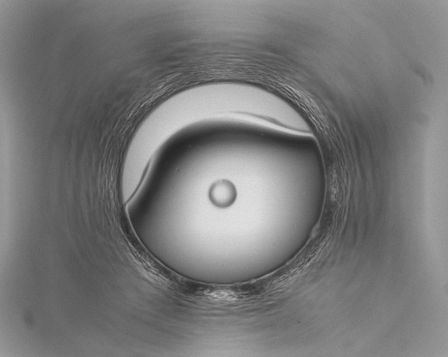 X0000115540409200911201744