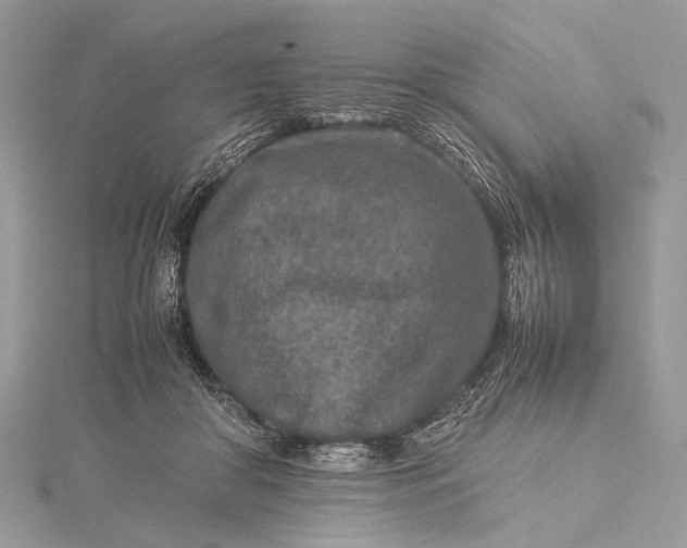 X0000115540410200911201744