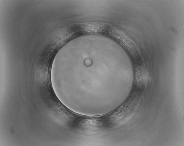 X0000115540411200911201744