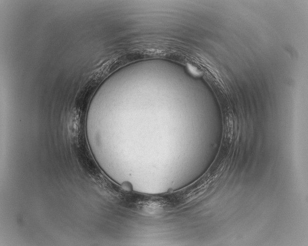 X0000115540412200911201744