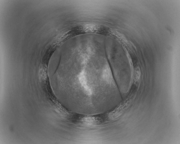 X0000115540413200911201744