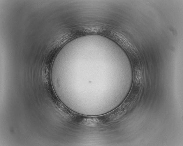 X0000115540414200911201744