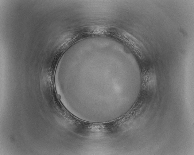 X0000115540415200911201744