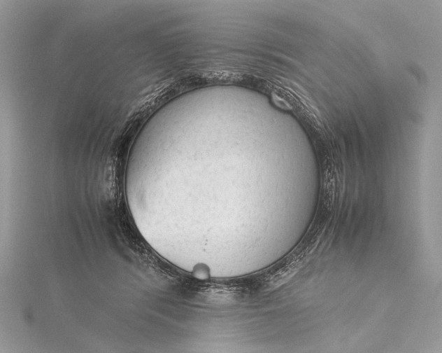 X0000115540416200911201744