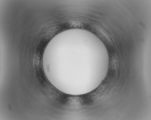 X0000115540417200911201744