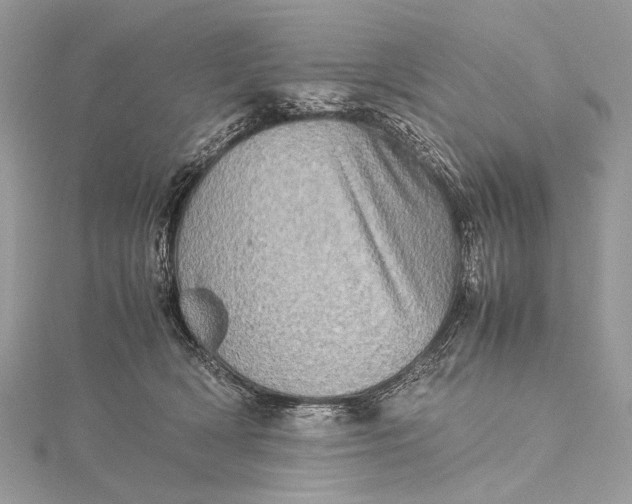 X0000115540418200911201744