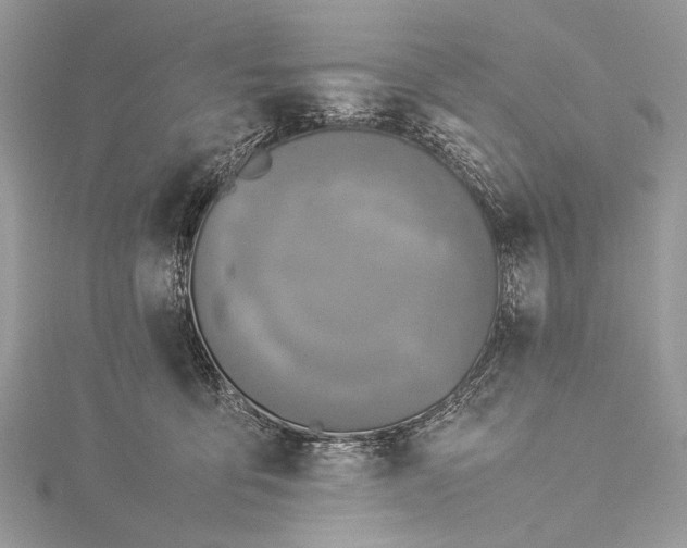 X0000115540419200911201744