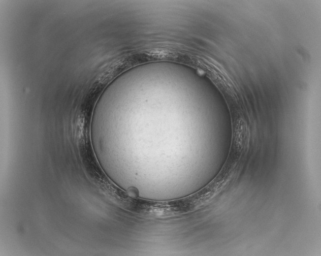 X0000115540420200911201744