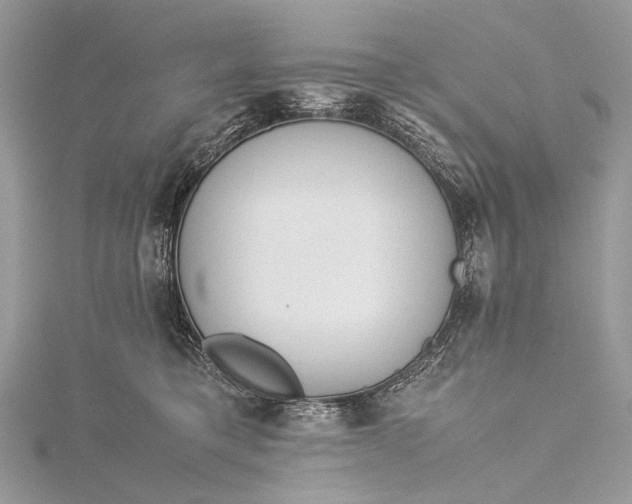 X0000115540421200911201744