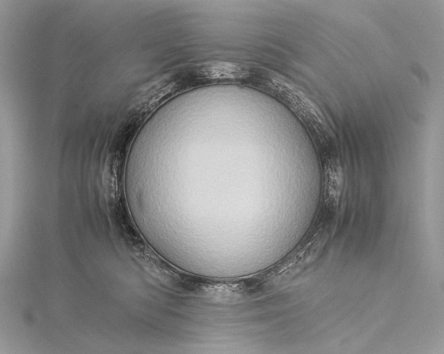 X0000115540422200911201744