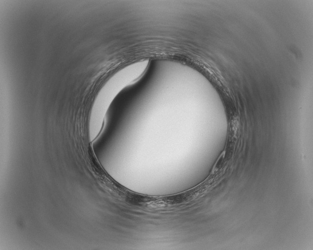 X0000115540423200911201744