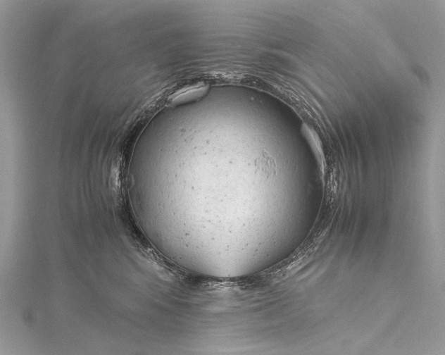 X0000115540424200911201744