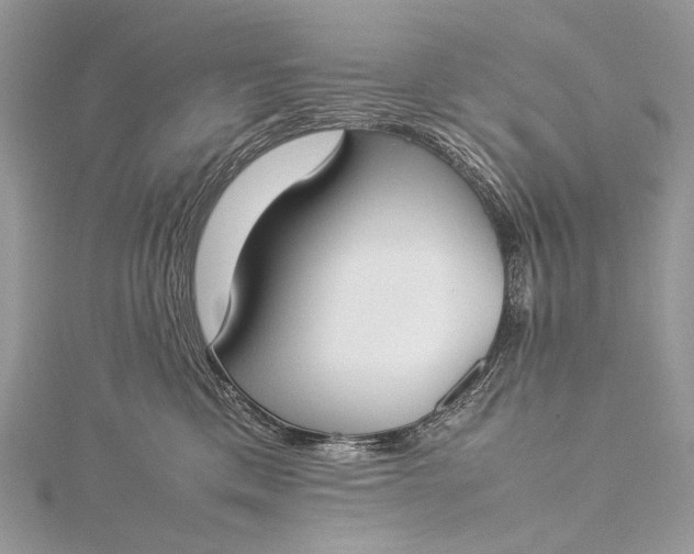 X0000115540425200911201744