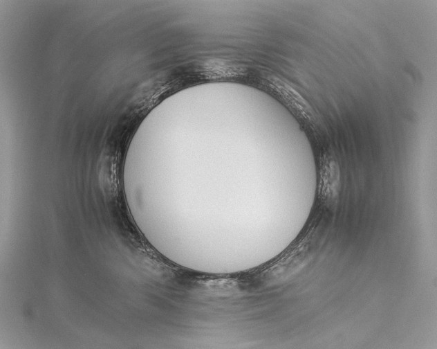 X0000115540426200911201744