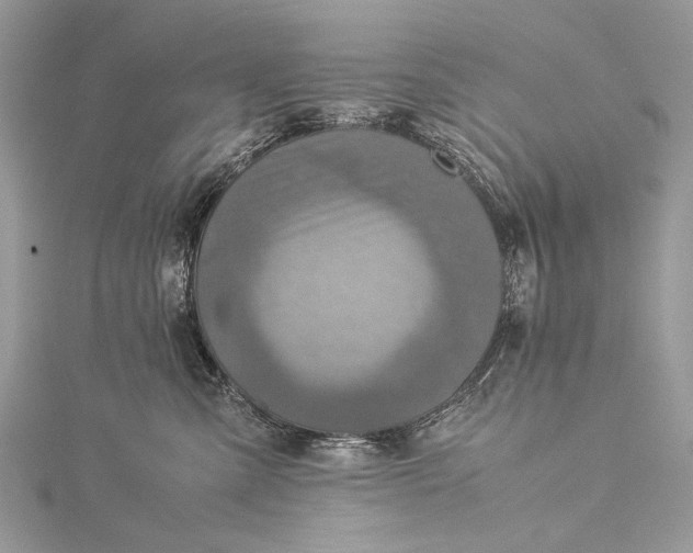 X0000115540427200911201744