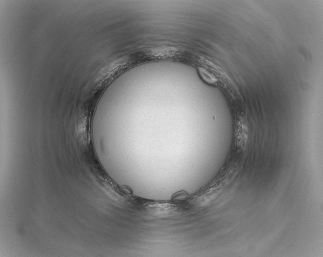 X0000115540428200911201744