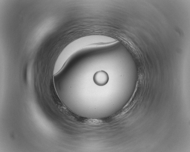 X0000115540429200911201744