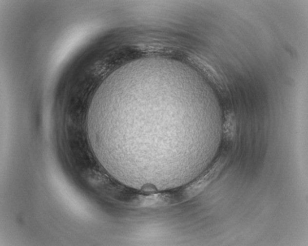 X0000115540430200911201744