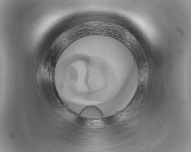 X0000115540431200911201744