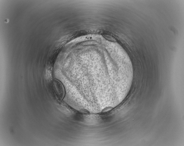 X0000115540432200911201744