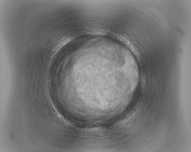 X0000115540433200911201743