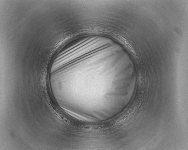 X0000115540434200911201743