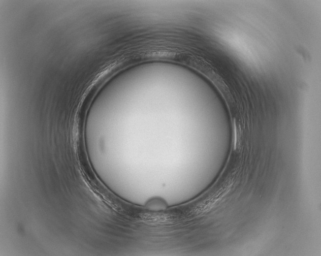 X0000115540435200911201743