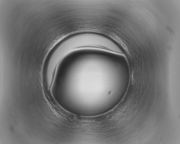 X0000115540436200911201743