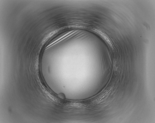 X0000115540437200911201743