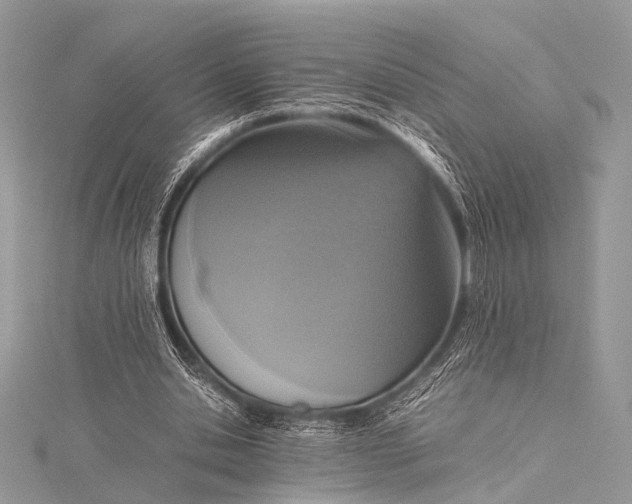 X0000115540438200911201743