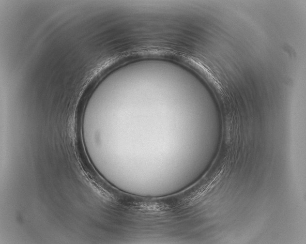 X0000115540439200911201743