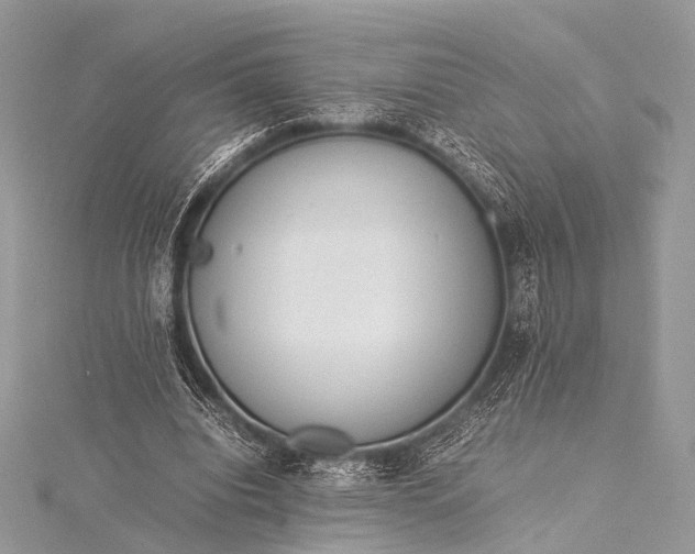 X0000115540440200911201743