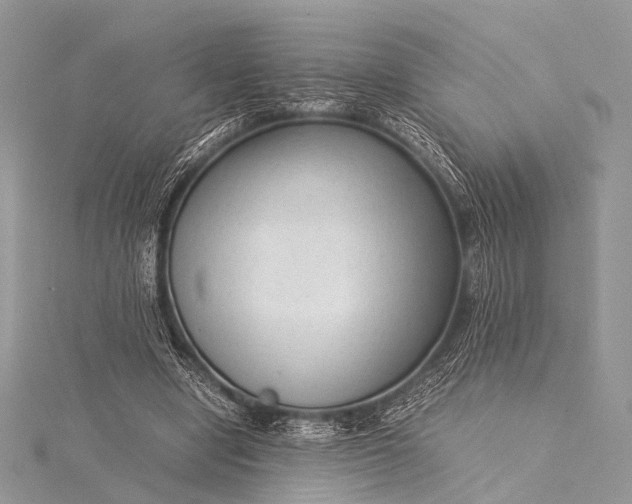 X0000115540442200911201743