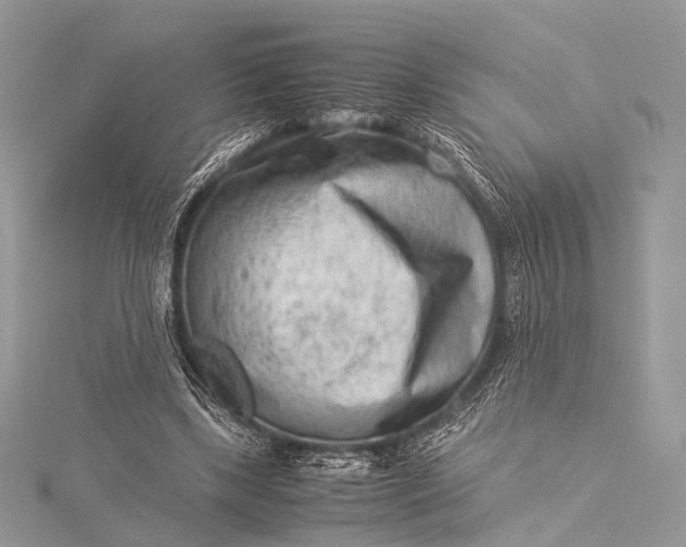 X0000115540443200911201743