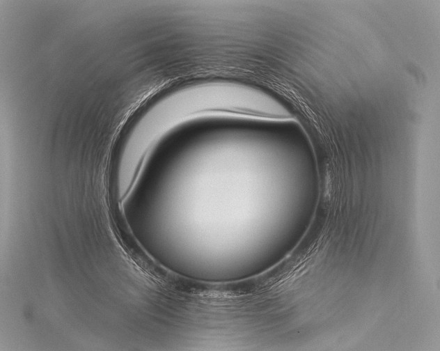 X0000115540444200911201743