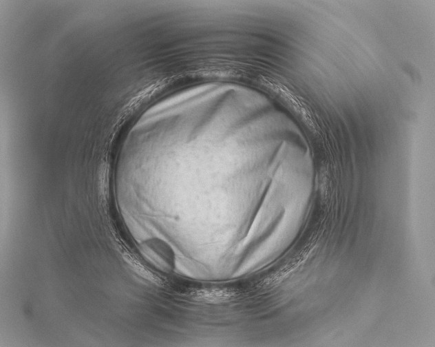 X0000115540445200911201743