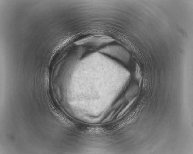 X0000115540446200911201743