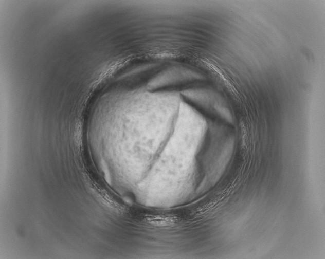 X0000115540447200911201743