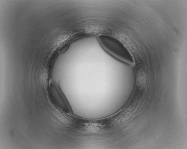 X0000115540448200911201743