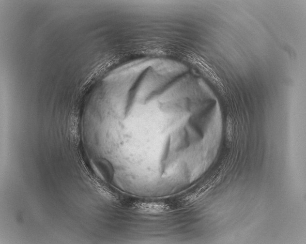 X0000115540449200911201743