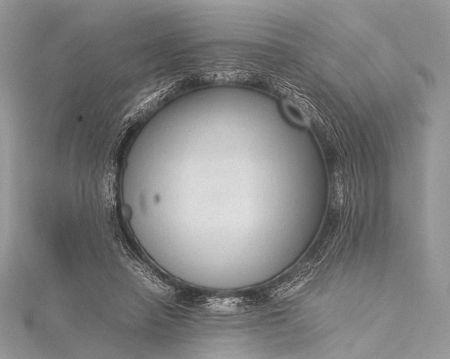 X0000115540450200911201743