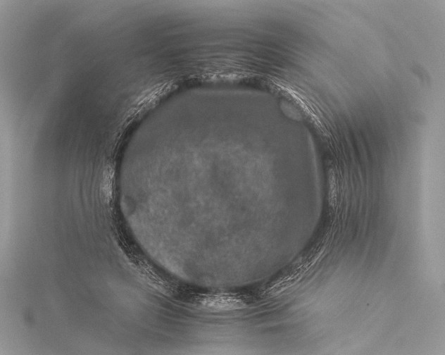 X0000115540451200911201743