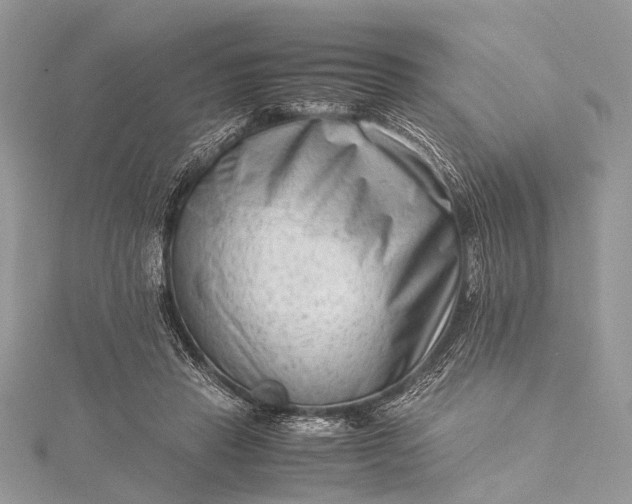 X0000115540453200911201743