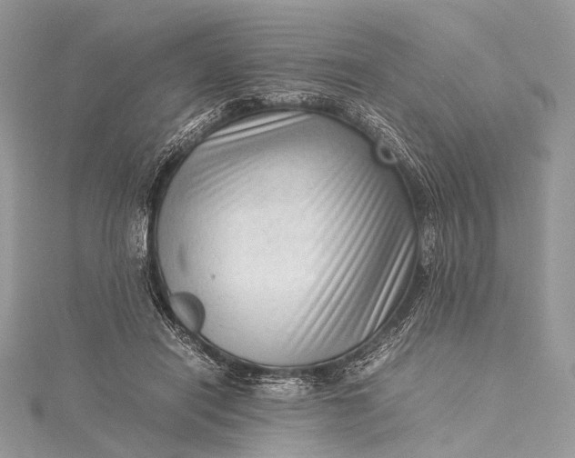 X0000115540454200911201743