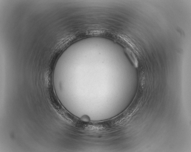 X0000115540455200911201743