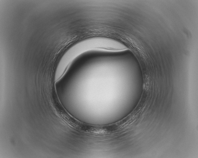 X0000115540456200911201743