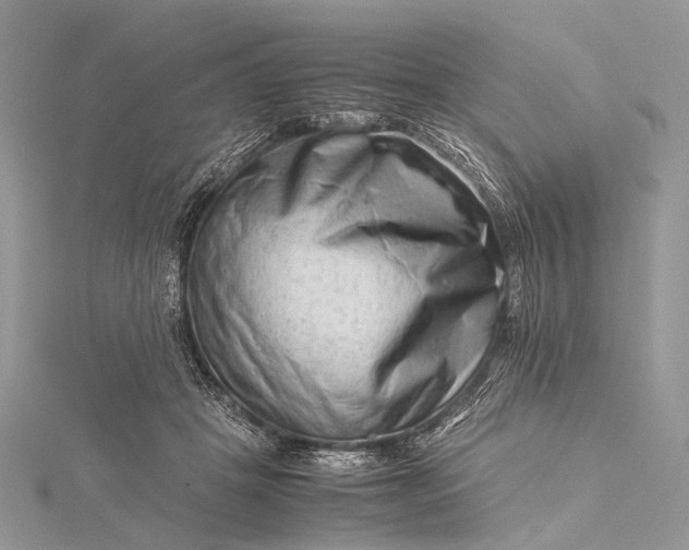 X0000115540457200911201743