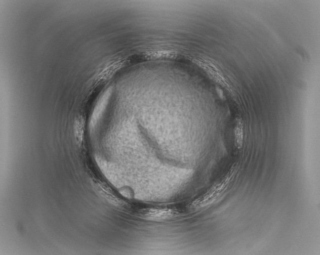 X0000115540458200911201743